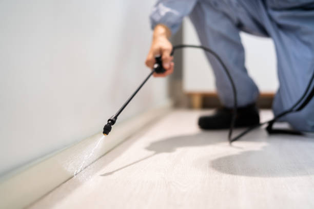 Licensed Pest Control service in West Haven, CT - Show Me Pest Control